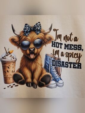 New Spicy Disaster Graphic T-Shirt  Graphic Hot Mess T-Shirt Unisex